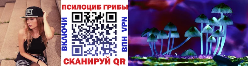 OMG ссылка  Озёры  Псилоцибиновые грибы Magic Shrooms  наркотики 